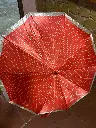 PARAGUA ROJO CON PUNTOS.webp