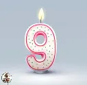 9.webp