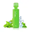 mint-ice.webp