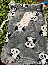 IMG-20250728-WA0001.webp