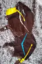 IMG-20250821-WA0069.webp