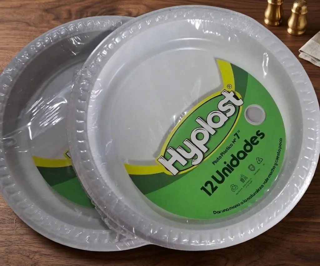 PLATO PLASTICO #9
