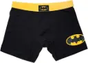 BOXER NIÑO