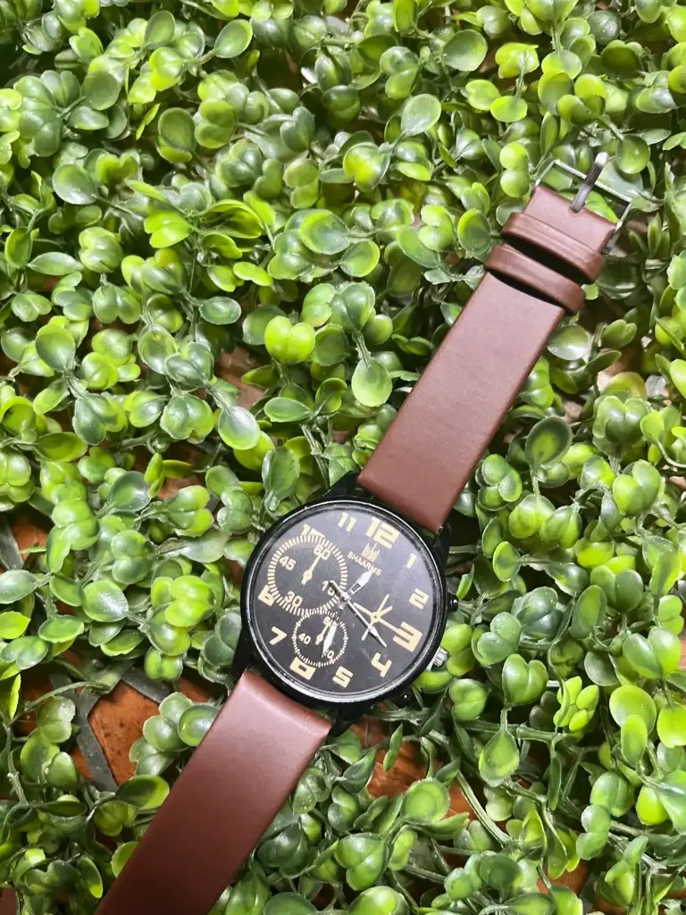 RELOJ GENEVA