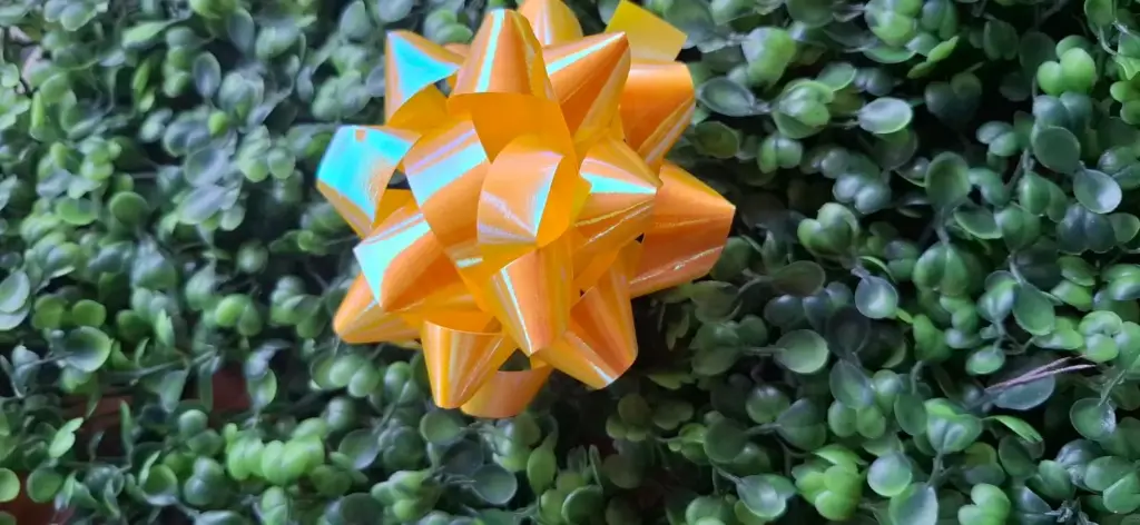 MOÑO DE REGALO