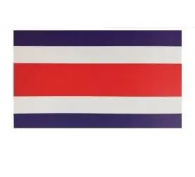 BANDERA PAPEL 13X 21CM