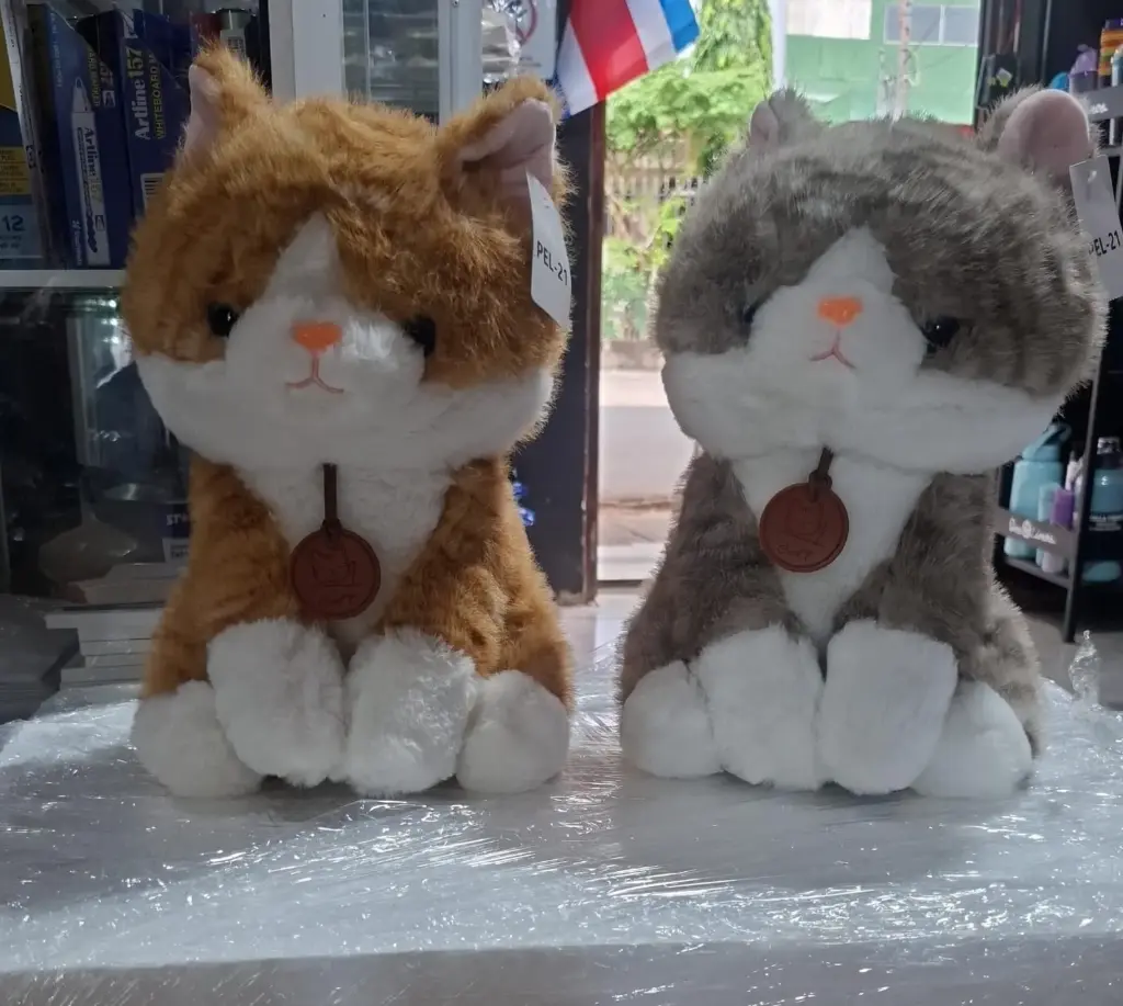 GATOS CAFÉ Y GRIS