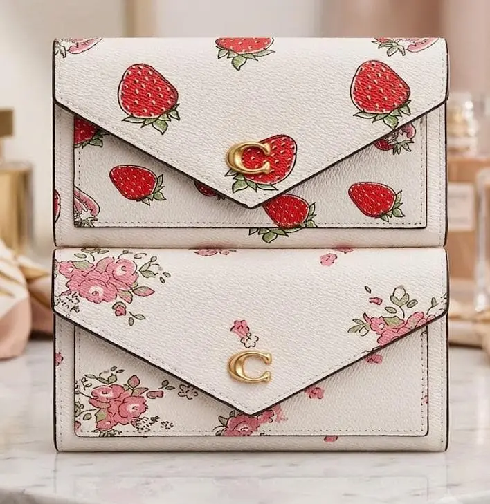 CARTERAS DE MANO