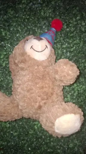 [9780201428858] OSITO DE PELUCHE