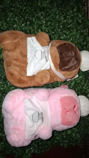 [9780201428858L] PELUCHE DE CAPIBARA
