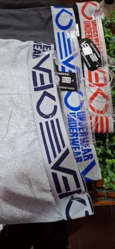 BOXER PATRIOT Y VECO