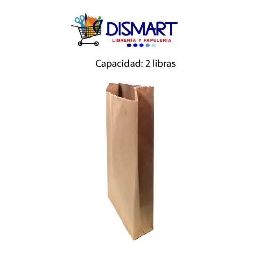 BOLSA KRAFT 2L 100U