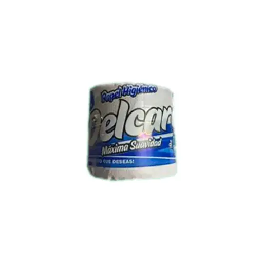 DELCARE PAPEL HIGENCO