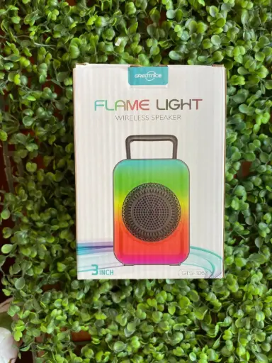 [9780201408522] PARLANTE FLAME LIGHT