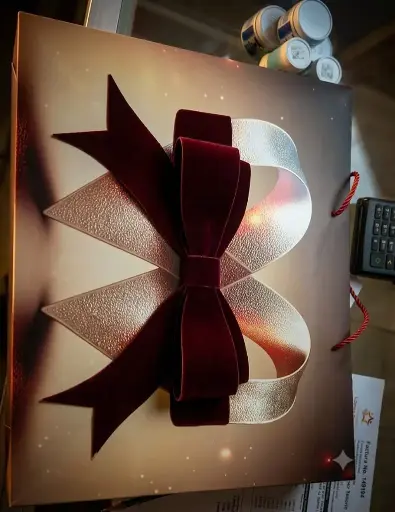 BOLSA DE REGALO L