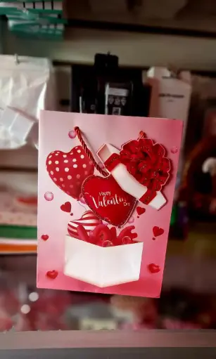 BOLSA DE REGALO S